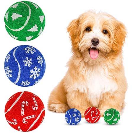 ألعاب الحيوانات الأليفة